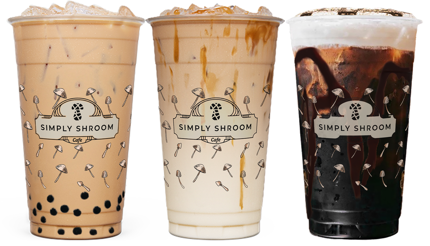 Cold Brews and Handcrafted Lattes